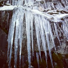Giant Icicles