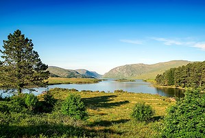 Best traditional pubs, Ireland