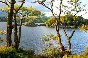 swallows and amazons wild swimming