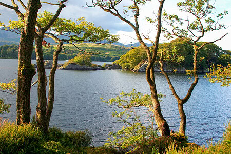 swallows and amazons wild swimming