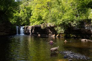wild swimming yorkshire