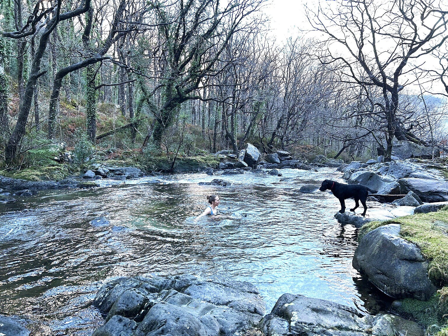 wild swimming winter