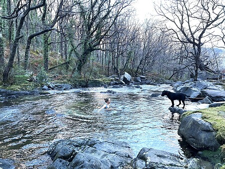 wild swimming winter