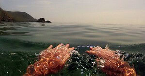 winter wild swimming