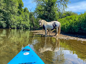 paddleboarding near London