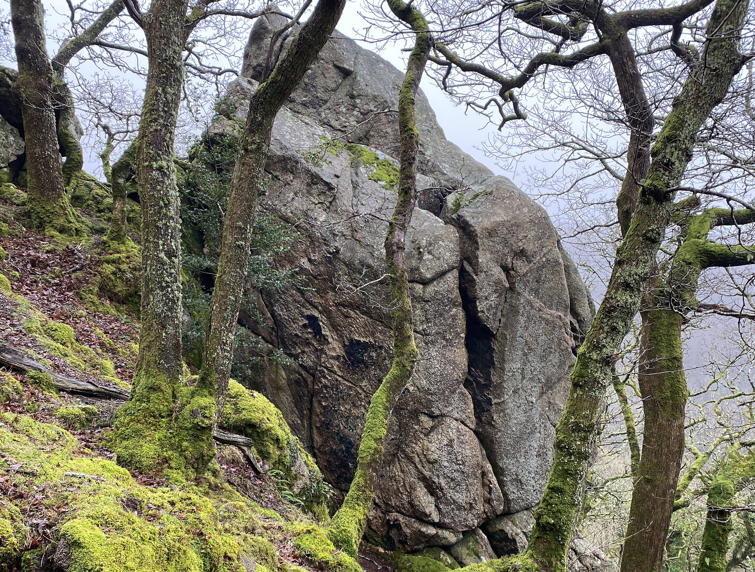 Dewerstone Crags