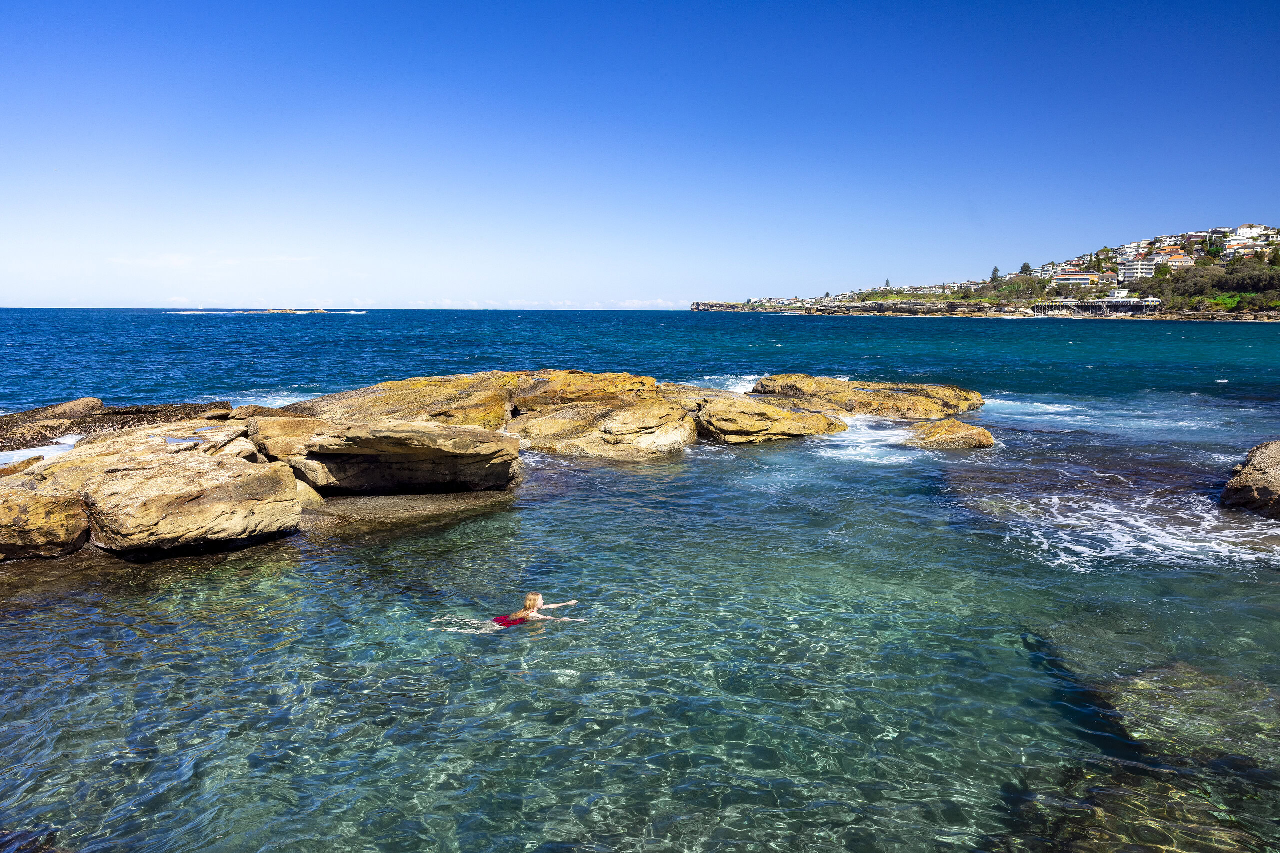 wild swimming syney