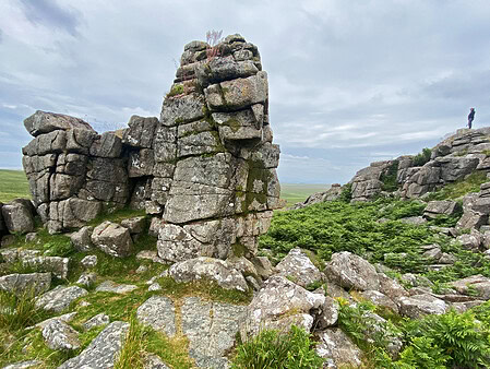 Dartmoor's Tors