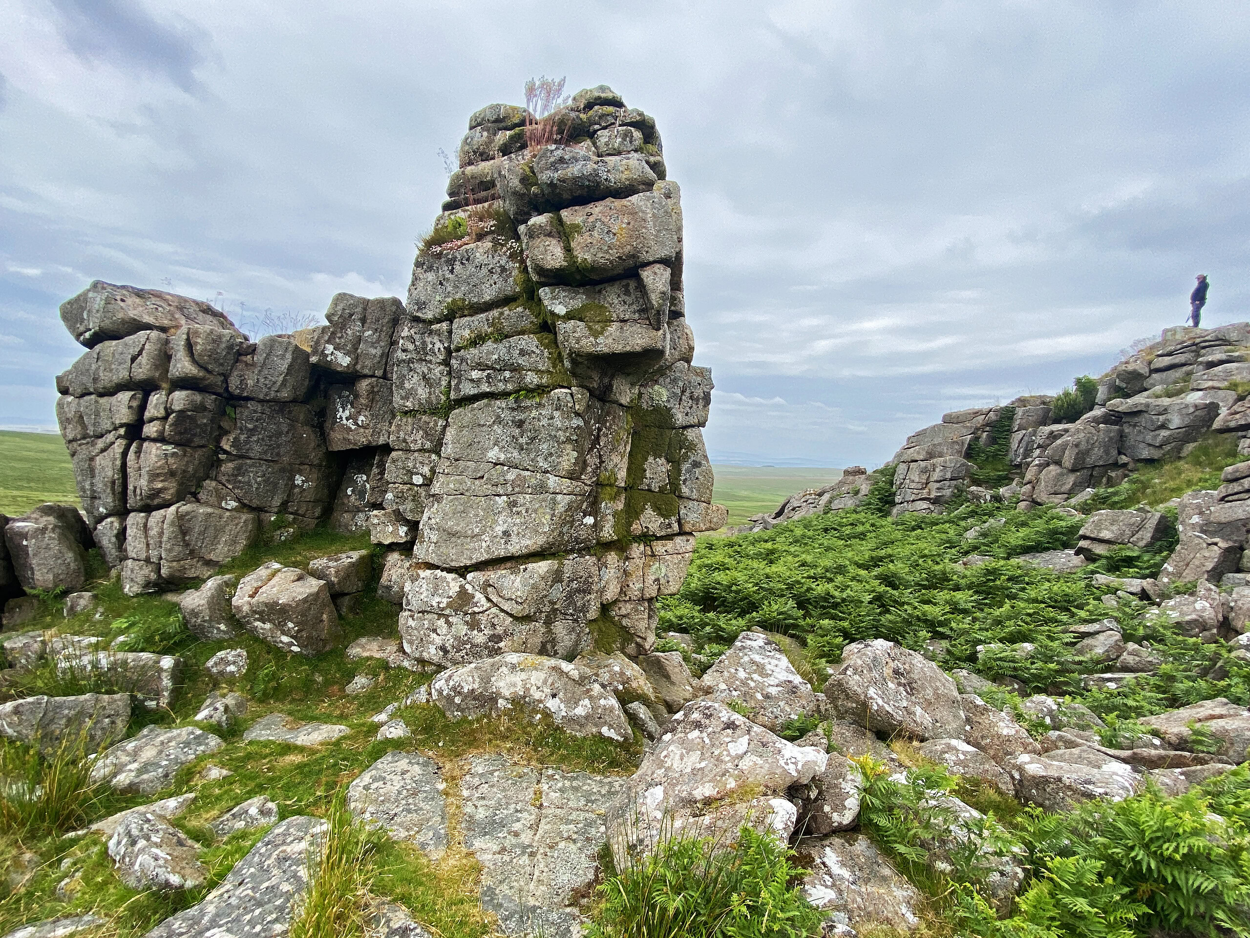 Dartmoor's Tors