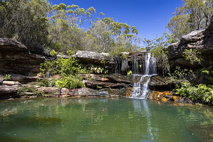 wild swimming Sydney