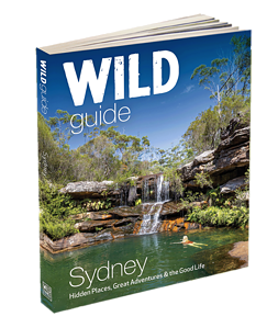 sydney guidebook