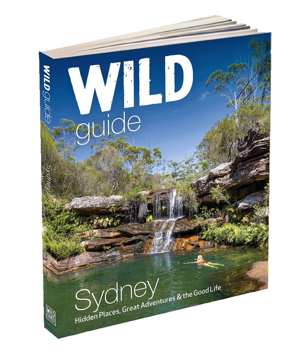 sydney guidebook