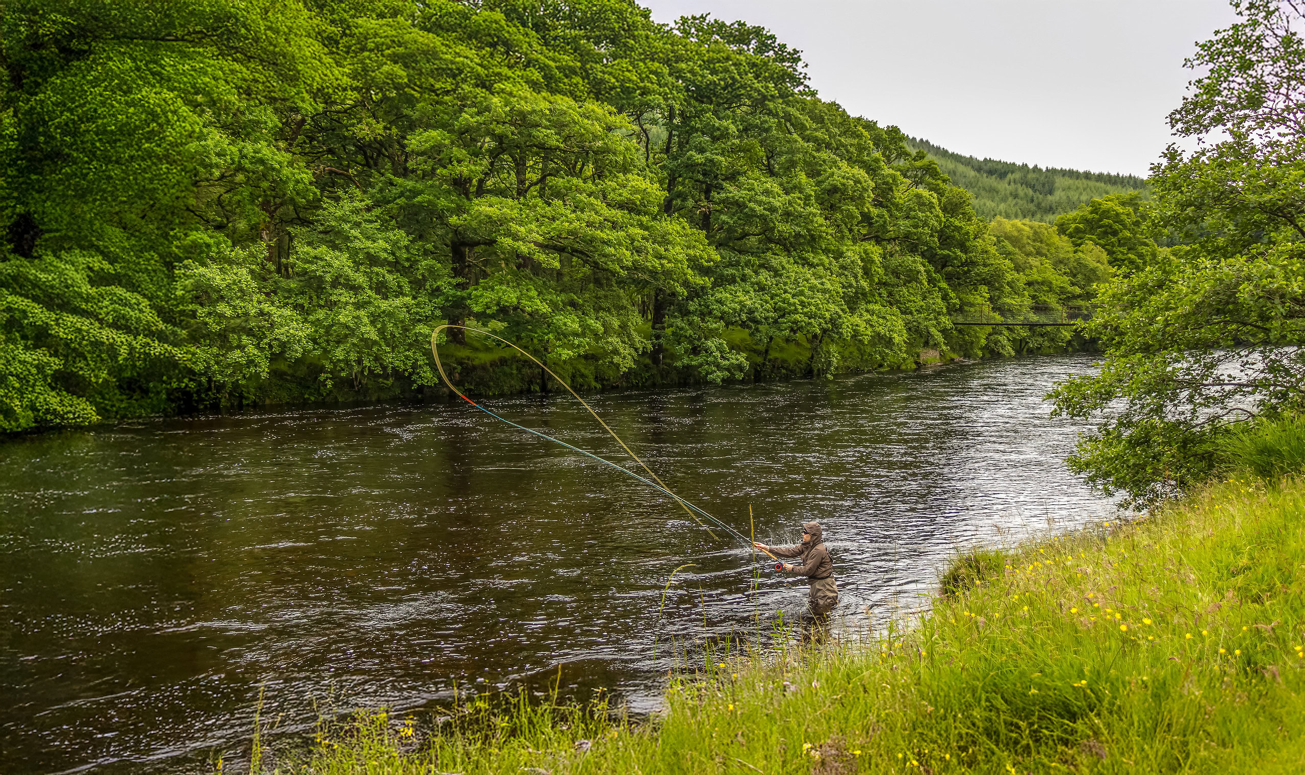 A fisherman spey casting for salmon using a fly rod on the River Orchy, Argyll, Scotland