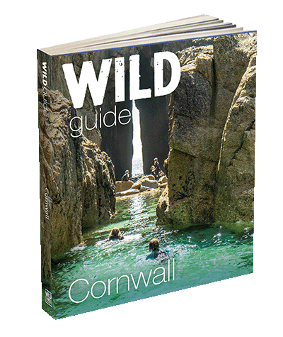 Wild Guide Cornwall cover 3d