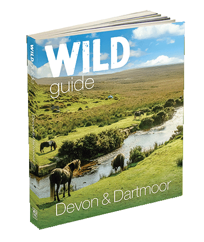 Wild Guide Devon cover 3d