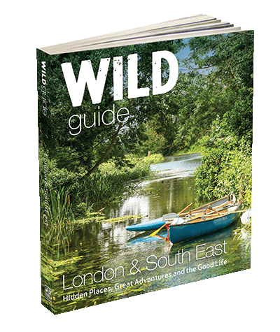 Wild Guide London & South East cover 3d