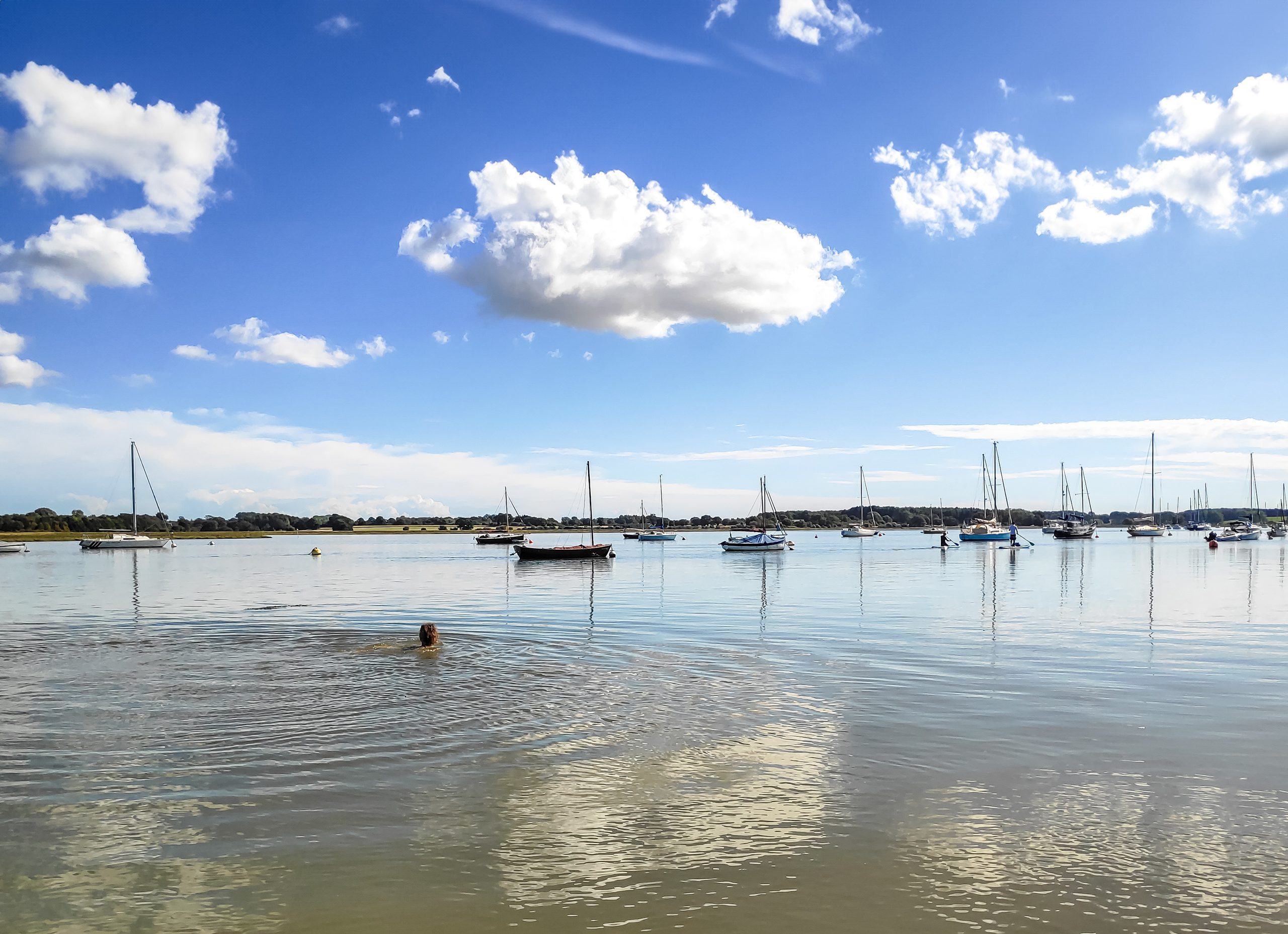 5 best wild swimming spots in Norfolk: Beautiful walks and secret swimming holes