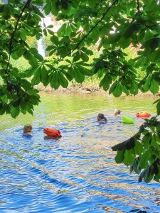 wild swimming norfolk